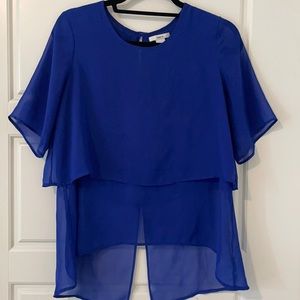 Blue Sheer Blouse